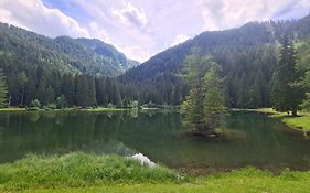 La Casa Di Ninis A Marilleva 1400